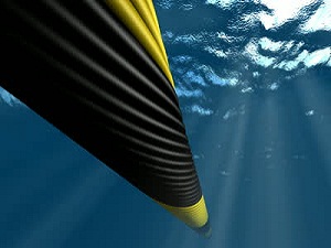 中国联通将助喀麦隆建设海底光缆
